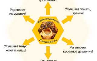 Маточное молочко: полезные свойства