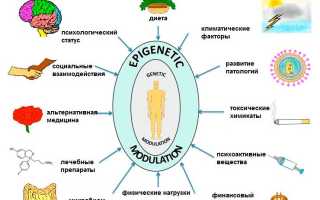 Метилирование – секрет биохимии здоровья