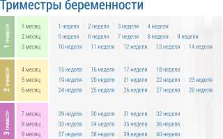 Как рассчитать календарь беременности по неделям