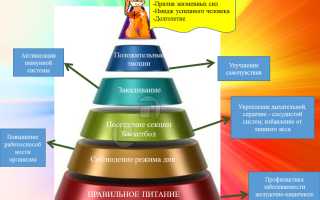 Здоровье и долголетие: какие правила
