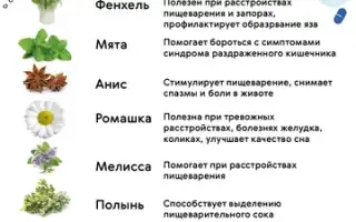 Лечение метеоризма народными средствами – значительное облегчение