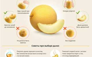Как правильно выбрать дыню