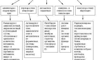 Пищевые добавки – основная классификация