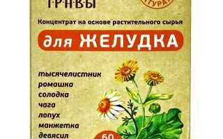 Десятка полезных для человека трав: основы лечения растительными препаратами