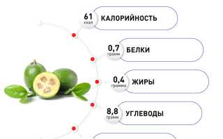 Полезные свойства фейхоа