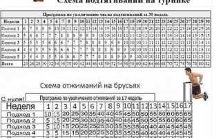 Турник для начинающих – программа тренировок