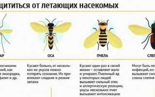 Чем снять отек от укуса ос, пчел и комаров