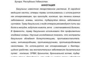 Багульник болотный лечебные свойства