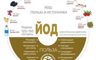 Продукты, содержащие йод в большом количестве