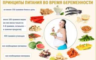 Как правильно питаться в период беременности