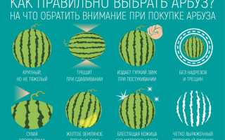 Как выбрать вкусный и полезный арбуз