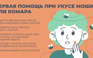 Как и чем снять отек от укуса насекомых?