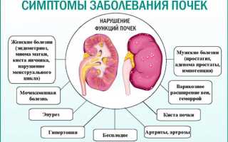 Признаки больных почек у человека
