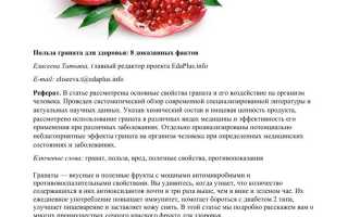 Гранат: польза для женщин, витаминный состав фрукта и возможный вред