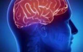 Дисциркуляторная энцефалопатия 2 степени: почему появляется, как проявляется, чем лечить